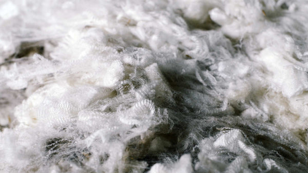 Woven supply chain