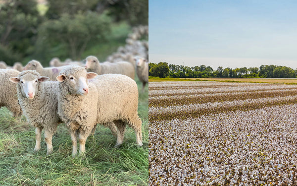 Why merino wool beats cotton