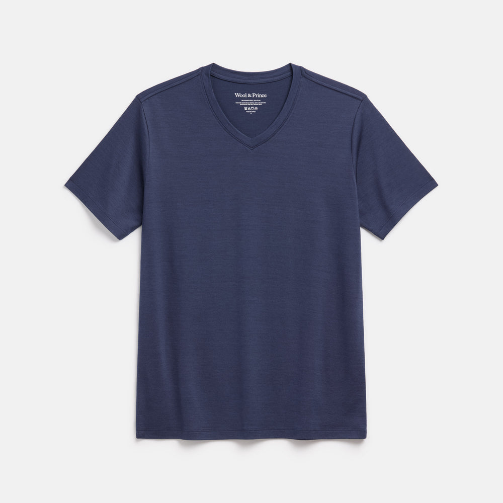 v neck dress shirt Merino Wool Standard V-Neck T-Shirt
