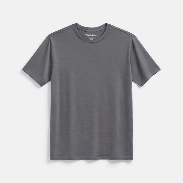 Merino Wool Crew Neck T-Shirt | Iron Gray – Crew Neck T-Shirts