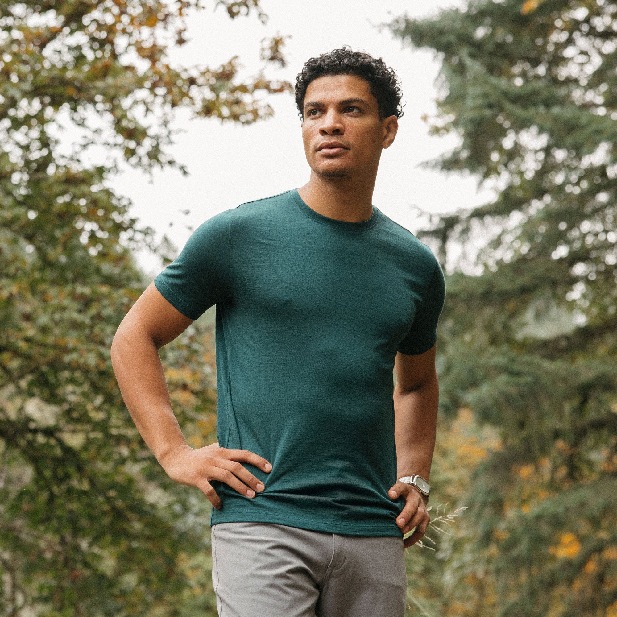 Signature Merino Wool Crew Neck Tee | Pine – Crew Neck T-Shirts